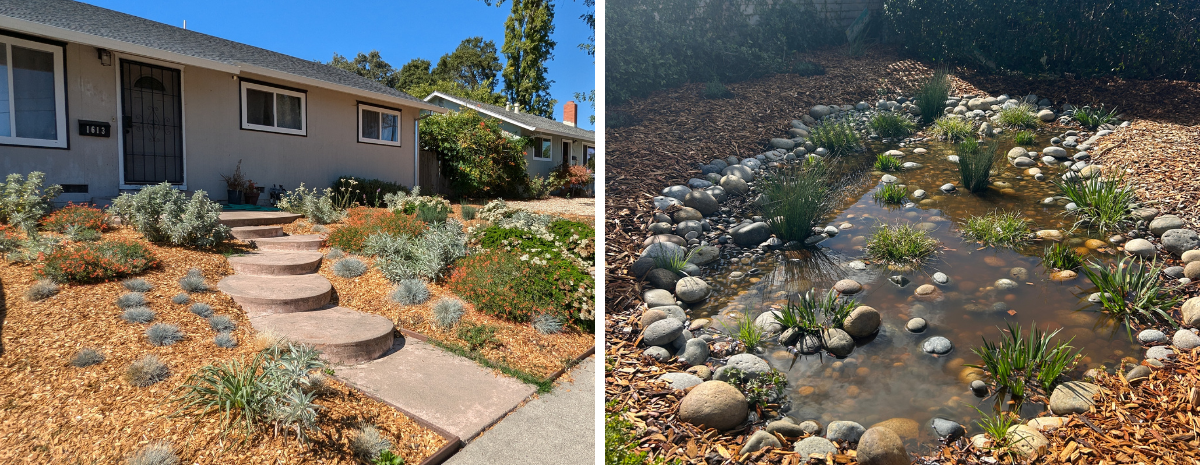 Fire &  Water-Wise Landscaping